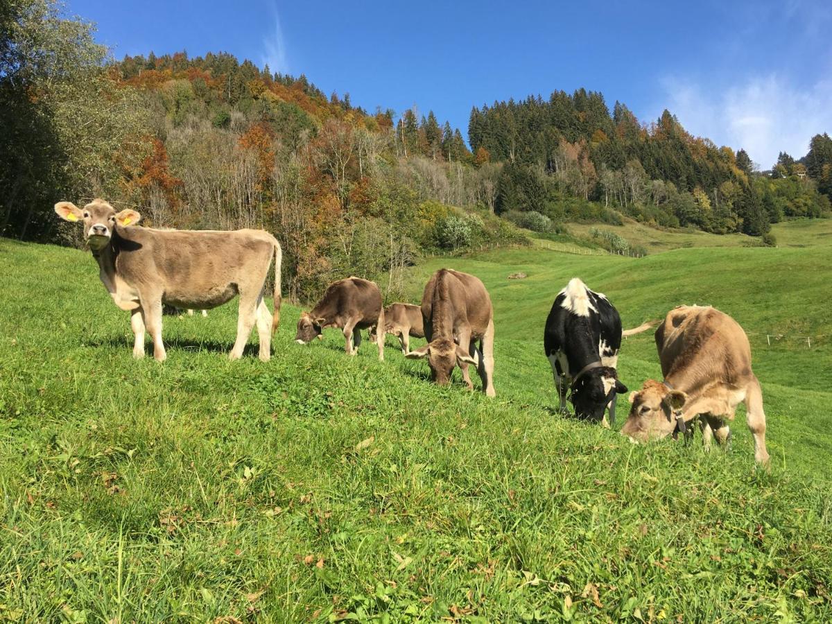 Ferienwohnung Schmiedlarhof Au (Vorarlberg) Exterior foto